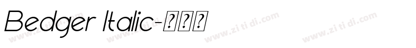 Bedger Italic字体转换 Bedger Italic字体转换